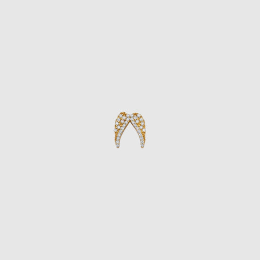 ANGEL WINGS CHARM