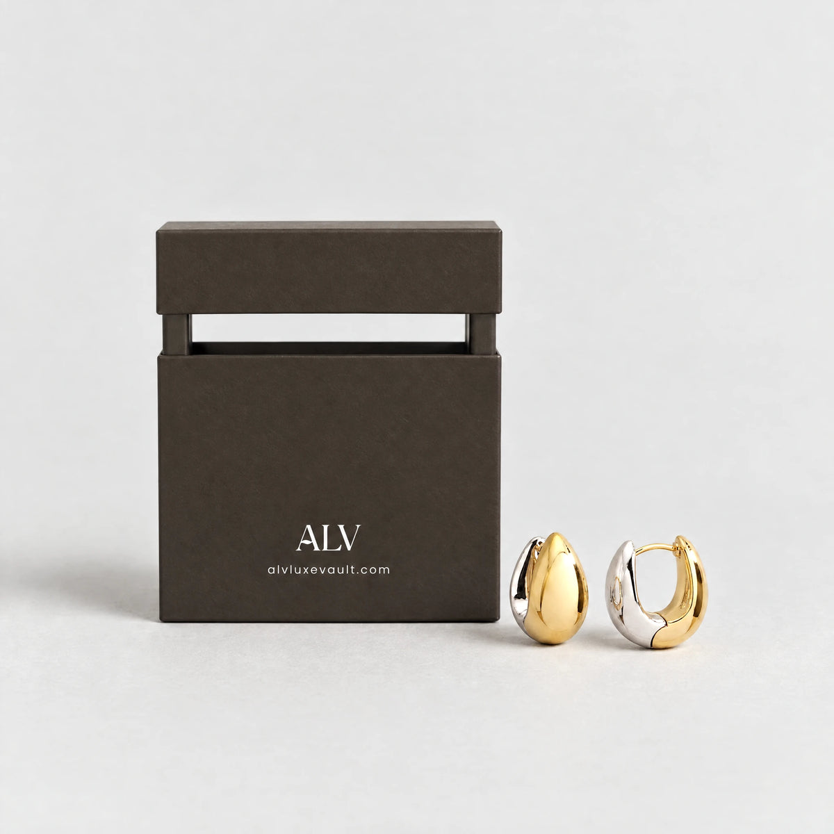 Vera Two-Tone Oval Hoop Earrings beside the ALV gift box
