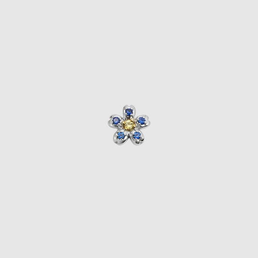 FORGET-ME-NOT CHARM